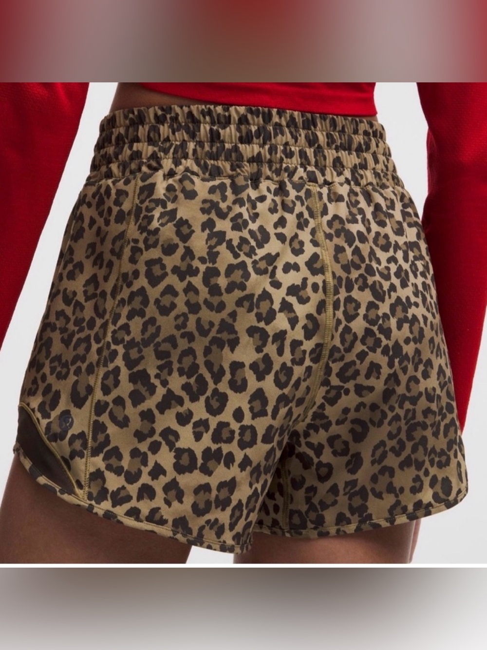 Hotty Hot Leopard Shorts
